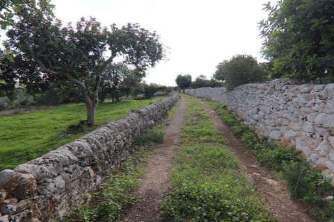Landejendom i Scicli, Ragusa, Scicli - € 250.000 | Ref: V003016 - foto 49